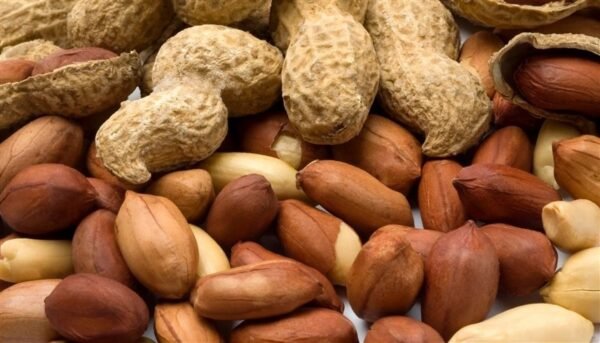 Sudanese Peanuts - Image 3