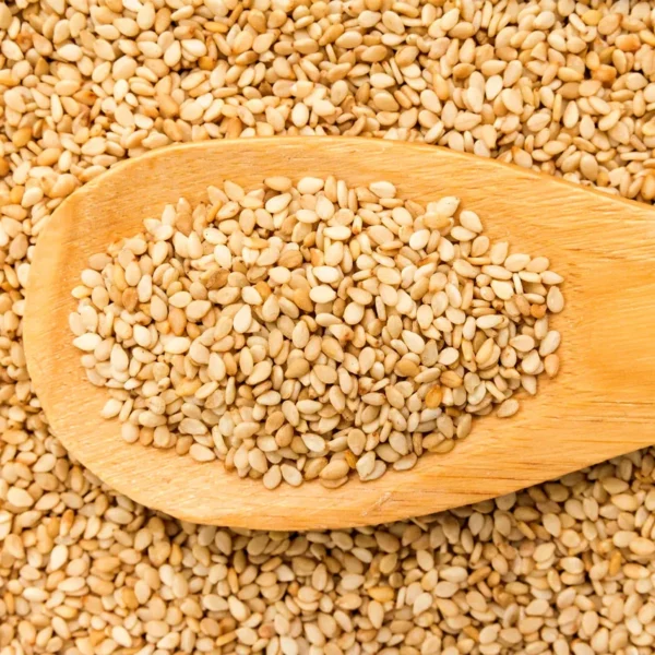 Sudanese White Sesame - Image 2