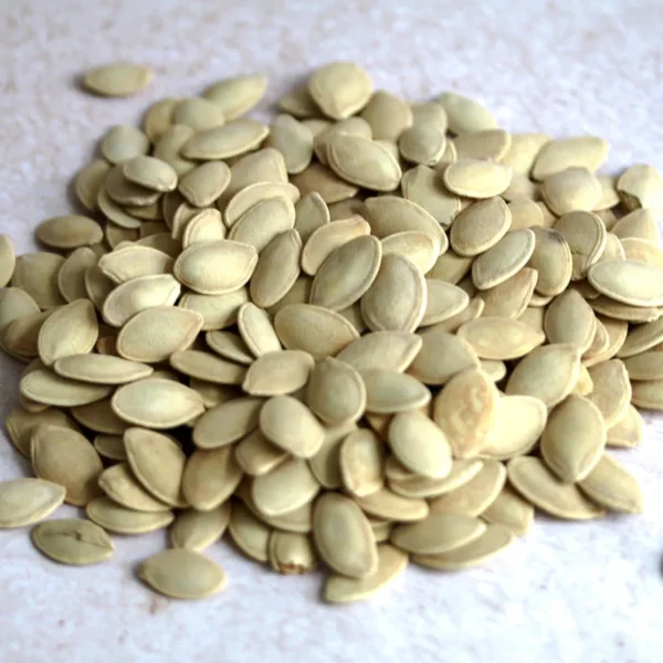 Sudanese Watermelon Seeds - Image 2