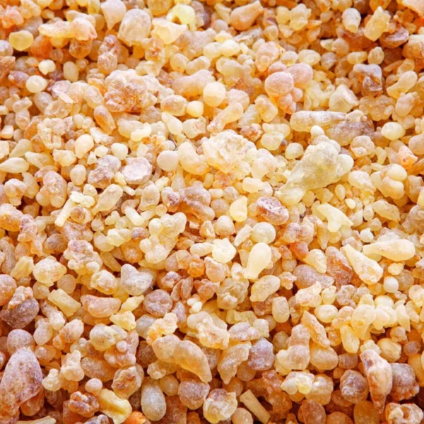 Sudanese Frankincense Gum - Image 5