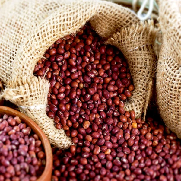 Sudanese Adasiya Seeds - Image 3